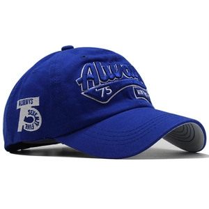 Detailed side view of cotton baseball cap with blue 3D embroidery and reinforced curved brim