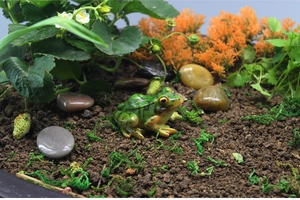 Macro shot of miniature resin frog figurine among artificial plants and pebbles