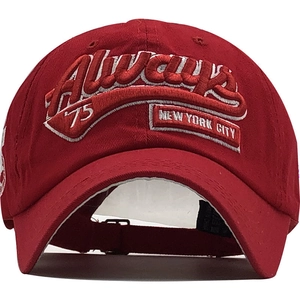 Detailed front view of red cotton baseball cap featuring vintage 3D embroidery and stitching