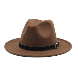 Classic brown wool felt Fedora hat with black leather band and wide brim for fashion