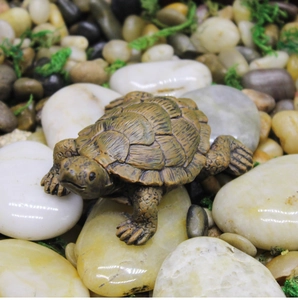Detailed macro view of a realistic resin turtle figurine resting on natural river stones