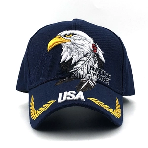 Navy blue baseball cap with eagle embroidery and USA text on a white background
