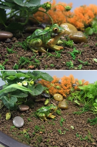 Detailed macro view of a lifelike resin frog statue with realistic skin textures and colors