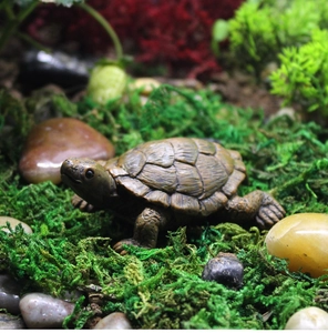 Detailed realistic resin turtle figurine resting on green moss and smooth river stones
