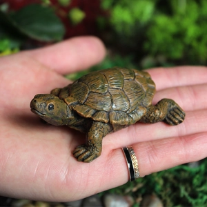 Realistic Simulation Turtle Figurine Resin Tortoise Statue For Micro Landscape Garden Succulent Decor Desktop Ornament