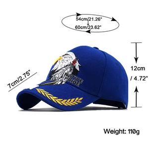 Detail of navy baseball cap featuring eagle embroidery and Native Pride text on side