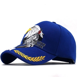 Detail of royal blue baseball cap with eagle embroidery and Native Pride text on side