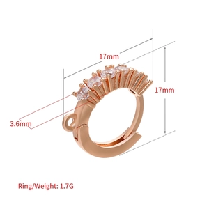 Roségoldene Ohrringhaken mit Zirkonia-Besatz und 17 mm Durchmesser Maßangaben für DIY