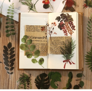 Macro shot of botanical PET stickers featuring vintage green leaves and red berries for DIY