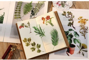 Detail of transparent PET botanical stickers featuring berries and ferns on a notebook