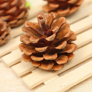 Natural dried pine cones on linen fabric for rustic home decor and DIY crafts