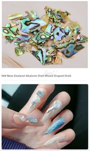 Irregular New Zealand abalone shell fragments for nail art decoration with iridescent luster