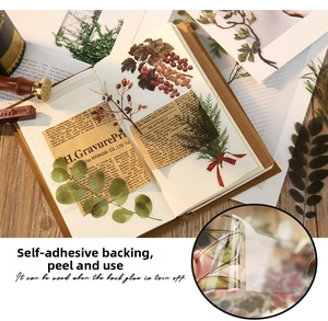 Detail of self-adhesive translucent PET plant stickers for creative scrapbooking