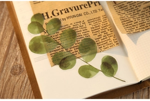 Detailed view of translucent green leaf PET stickers on vintage decorative paper