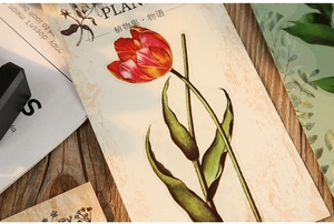 Macro detail of retro tulip PET sticker with artistic plant scientific drawing style