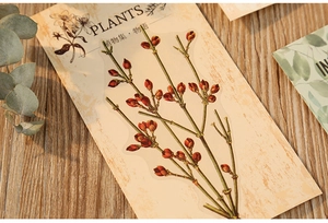 Macro detail of PET plant stickers with floral buds on a vintage wood grain background