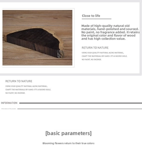 Macro cross-section of natural ebony wood showing heartwood and sapwood contrast