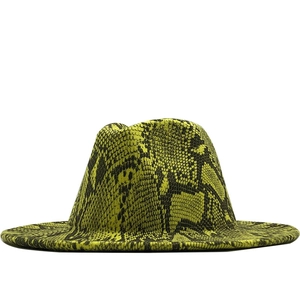 Fedora Hut Mit Breiter Krempe Wollfilz Schlangenmuster Retro Jazz Kappe Für Damen Herren Mode Western Stil