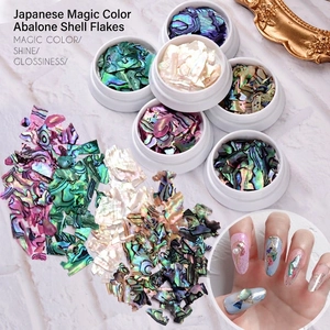 Natural Iridescent Abalone Shell Flakes Ultra-Thin Mother Of Artificial Pearl Fragments For 3D Nail Art Decoration Irregular Slices