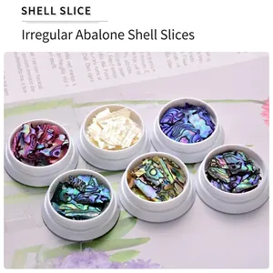 Irregular ultra-thin abalone shell slices for nail art in six diverse colors and containers