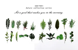 Macro detail of PET sticker set featuring diverse green leaf and botanical plant designs
