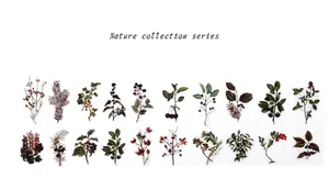 Detail of 18 vintage botanical PET stickers featuring realistic berries and plants