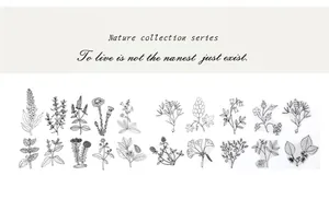 Detailed view of assorted black and white botanical PET stickers with floral motifs