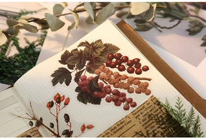 Detail of red berry PET stickers on grid paper for creative botanical scrapbooking
