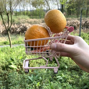 Miniature pink metal shopping cart for desk storage held by hand in a natural setting