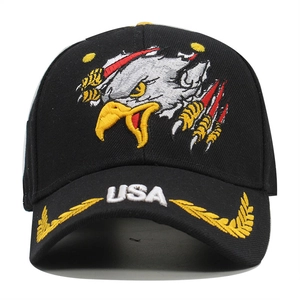 Close-up of eagle embroidery and USA text on black twill cotton baseball cap