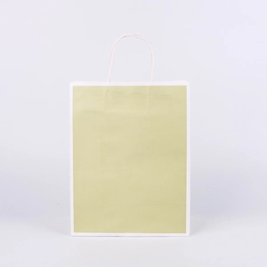 Detail of light green and white kraft paper bag with sturdy white paper handles