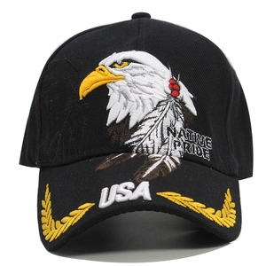 Black cotton baseball cap featuring eagle embroidery with Native Pride and USA text on brim
