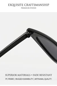 Detail der Metallscharniere und Schraubenmontage der schwarzen Cat-Eye-Sonnenbrille
