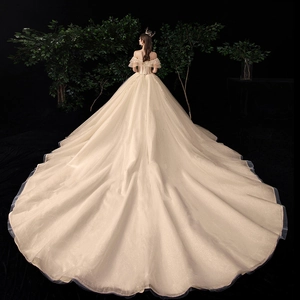 Luxurious champagne wedding dress with long circular train and shimmering mesh fabric detail