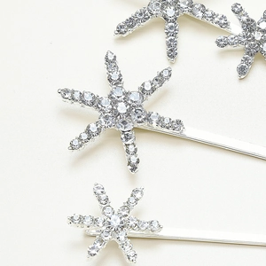 Forcine a stella in argento con strass trasparenti su sfondo bianco professionale