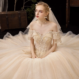 Elegant champagne off-the-shoulder wedding dress with lace embroidery and sequins