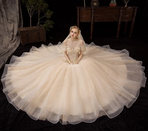 Top view of champagne off-the-shoulder wedding dress with shimmering tulle skirt