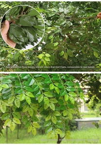 Detailed view of artificial banyan leaves showing realistic green texture and leaf veins