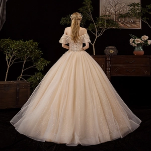 Macro detail of champagne sequined ball gown with layered lace appliques and lace-up back