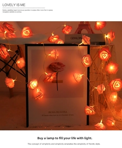 Detail of warm rose flower LED string lights wrapped around books for cozy decor