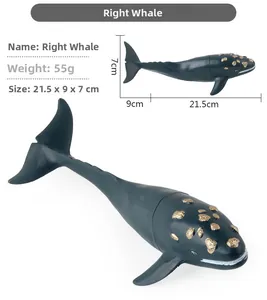Detailed view of Right Whale toy model with size 21.5x9x7cm and weight 55g on white background