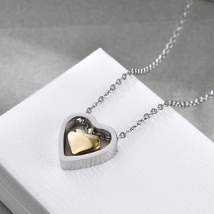 Collier chic en acier inoxydable avec pendentif double cœur argenté et doré sur boîte