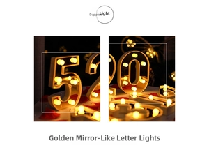 Close-up of golden 520 LED marquee lights with mirror surface and romantic red petals