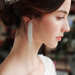Detailed view of long silver tassel earrings with zircons worn by a model in soft lighting