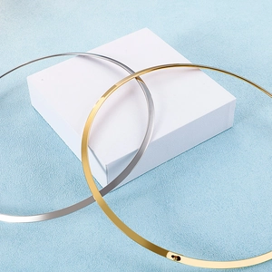 Fashionable minimalist titanium steel thick collar necklaces in gold and silver finish