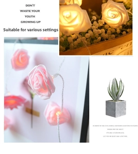 Detail of rose-shaped LED string lights in pink and warm white for festive home decoration