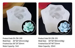 Détail des moules en silicone de succulentes 3D avec dimensions et résultats de produits