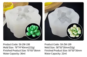 Doubles moules en silicone pour bougies succulentes avec dimensions pour bricolage