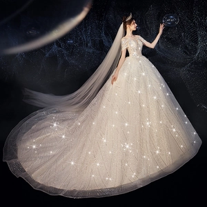 Elegant champagne lace wedding dress with sparkling sequins, long train and sheer bridal veil
