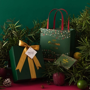 Green Christmas gift box and paper bag set with gold ribbons and festive pine decorations